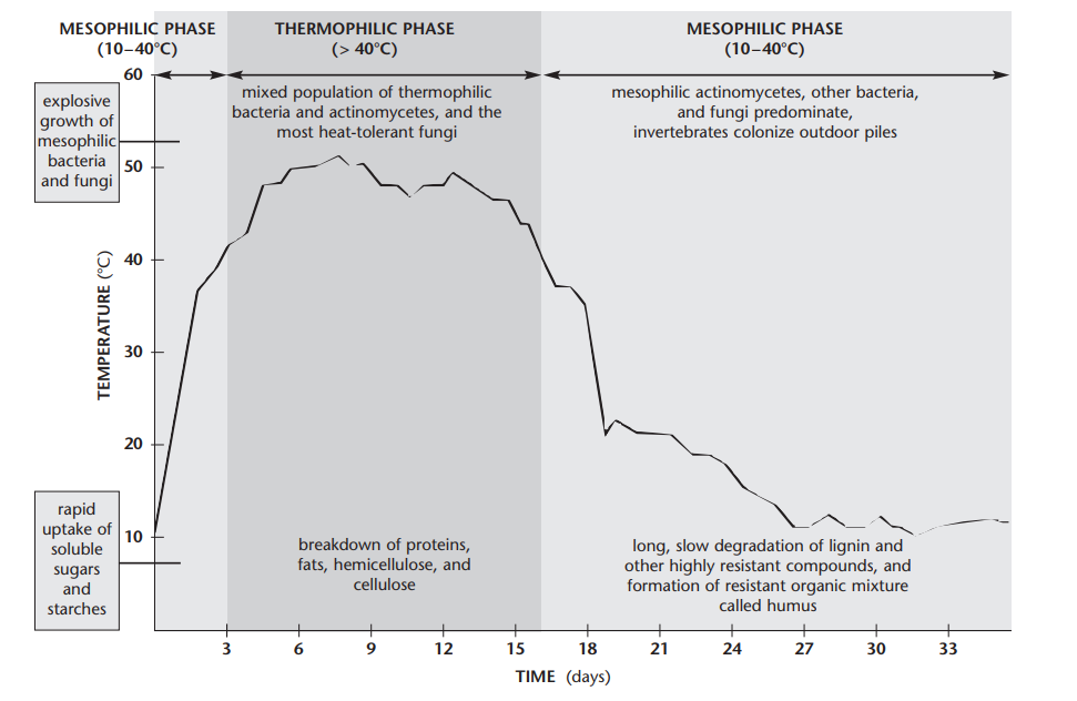Compost Temperature Stages Diagram